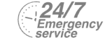 24/7 Emergency Service Pest Control in Purley, Kenley, CR8. Call Now! 020 8166 9746