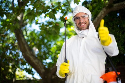 Pest Control in Purley, Kenley, CR8. Call Now 020 8166 9746