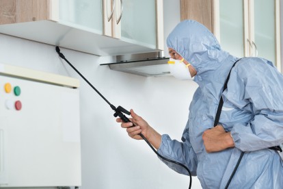 Home Pest Control, Pest Control in Purley, Kenley, CR8. Call Now 020 8166 9746